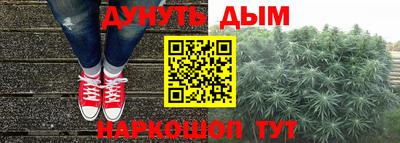 гашик Ипатово