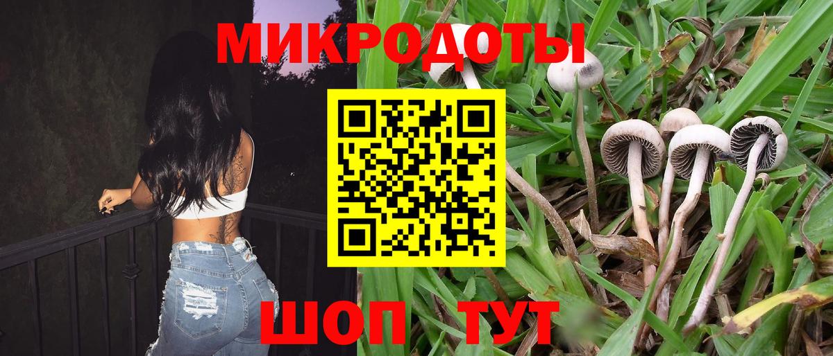 Псилоцибиновые грибы Cubensis  Псилоцибиновые грибы Psilocybe  Курчатов  Вход с VPN 