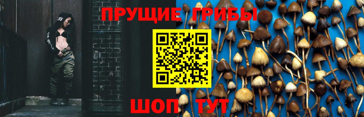Псилоцибиновые грибы MAGIC MUSHROOMS Курчатов