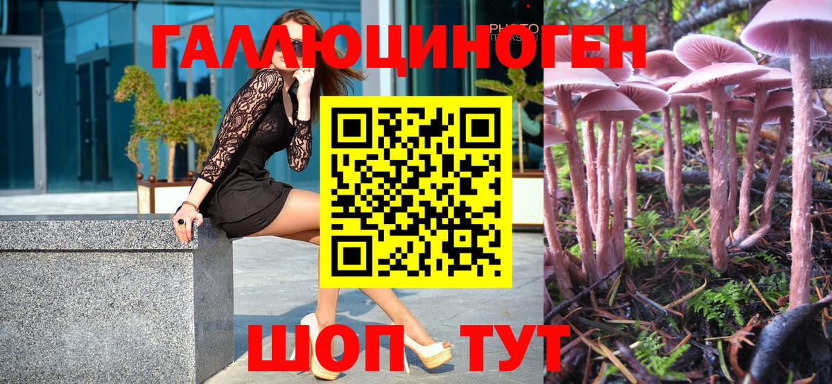 МЕФ   Марихуана  NBOMe  Cocaine  Вход с VPN  Купить закладку  Курчатов  МЕТАМФЕТАМИН  Гашиш 